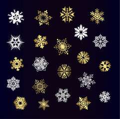 Different snowflakes vector