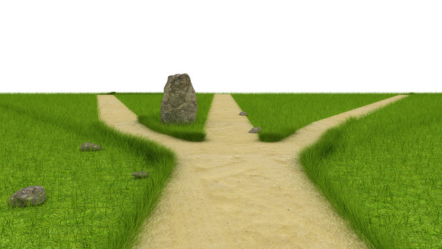 Divarication at green field near the huge stone