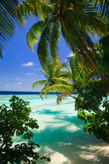Panele Szklane  Tropikalny raj na Malediwach