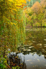 Autumn lake