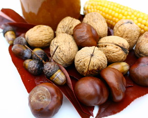 fruits, composition en automne