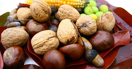 fruits d'automne,composition