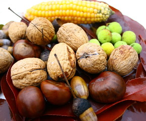 composition automnale