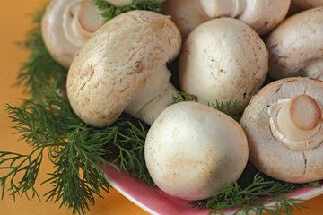 Mushrooms on a platter among sprigs of dill