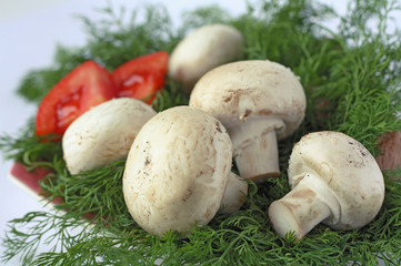 Mushrooms on a platter among sprigs of  dill