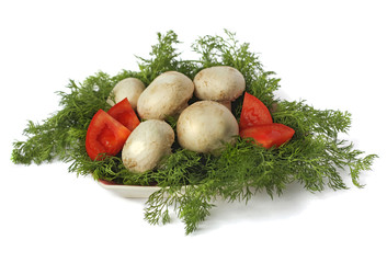 Mushrooms on a platter among sprigs of dill