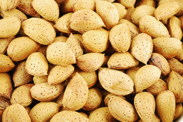 almond background