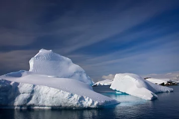 Rolgordijnen Antarctic iceberg © Goinyk