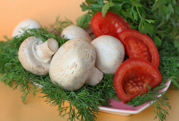 Mushrooms and tomatoes among dill