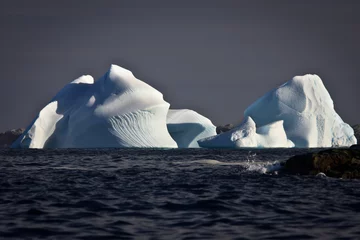 Wandcirkels plexiglas Antarctic iceberg © Goinyk