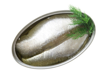 conserva de sardinas