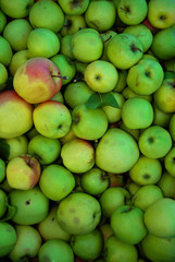 texture yellow apples