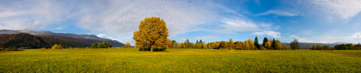 Fototapeta premium Autumn Landscape