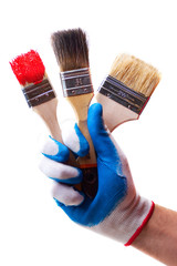 Hand and brushes