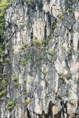 Rock patterns and textures