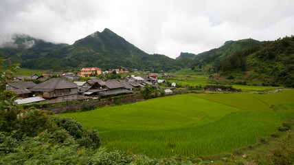 Fototapeta na wymiar Tradtional Vietnamese village