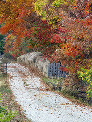 Autumn Country Lane with Hay Bales, Fence and Gate