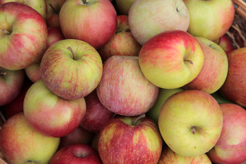 Apples