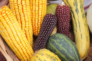 Autumn Harvest
