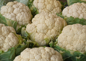 Blumenkohl