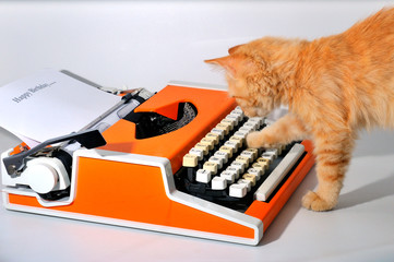 Cat and typewriter