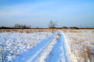 rural road on winter field