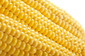 Fresh corn vegetable