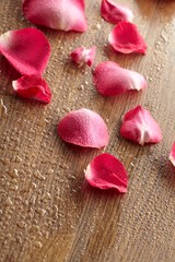 red rose, drop water