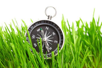 compass in green grass