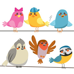 Six cute and colorful little birds perched on power wire lines