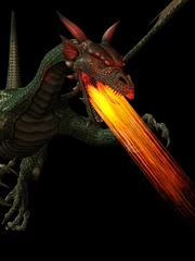 Photo sur Aluminium Dragons Dragon crachant du feu