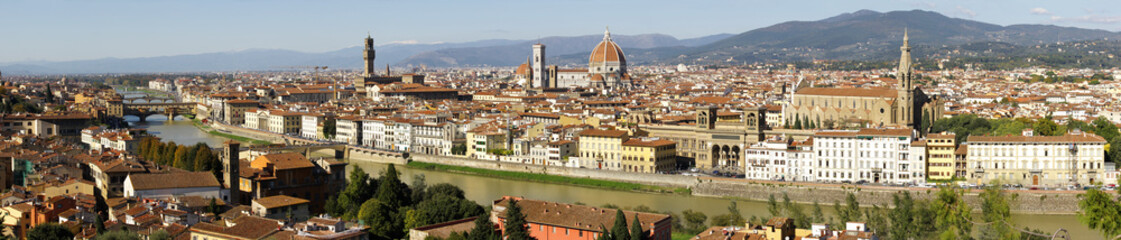 Fototapeta na wymiar Panoramic view of Florence