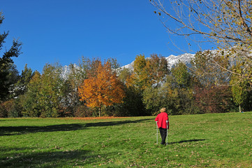 Leben im Herbst