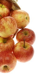 Braeburn Apples