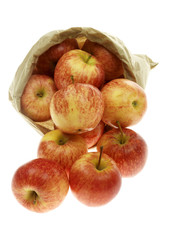 Braeburn Apples