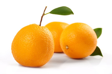 Orange fruit