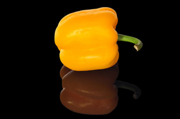 Paprika