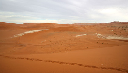 Fototapeta na wymiar dunes de Sossusvlei
