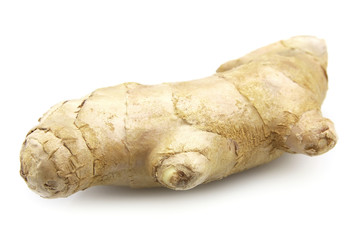 Fototapeta premium Ginger