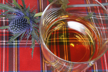 Whiskey and Thistle on Tartan - 27137444