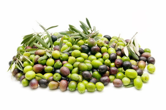 variety of olives