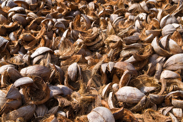 Coconut shells