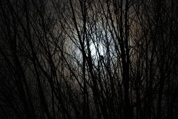 Obraz premium Moon