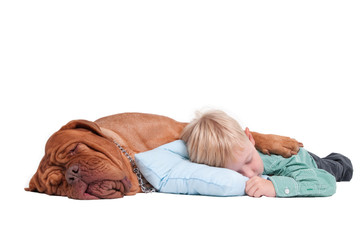 Boy and dog asleep on the floor