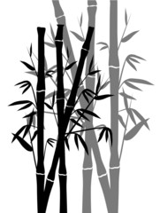 Bamboo design