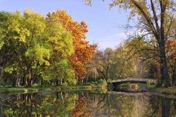 Fototapeta premium Autumn