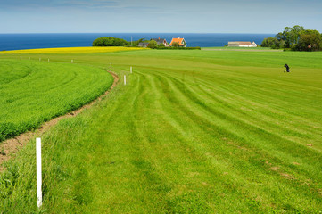 Obraz premium Golf course on Bornholm island