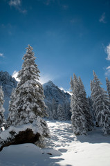 Berglandschaft in weiß