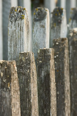 Old worn out wooden fence