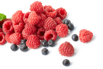 berries on white background